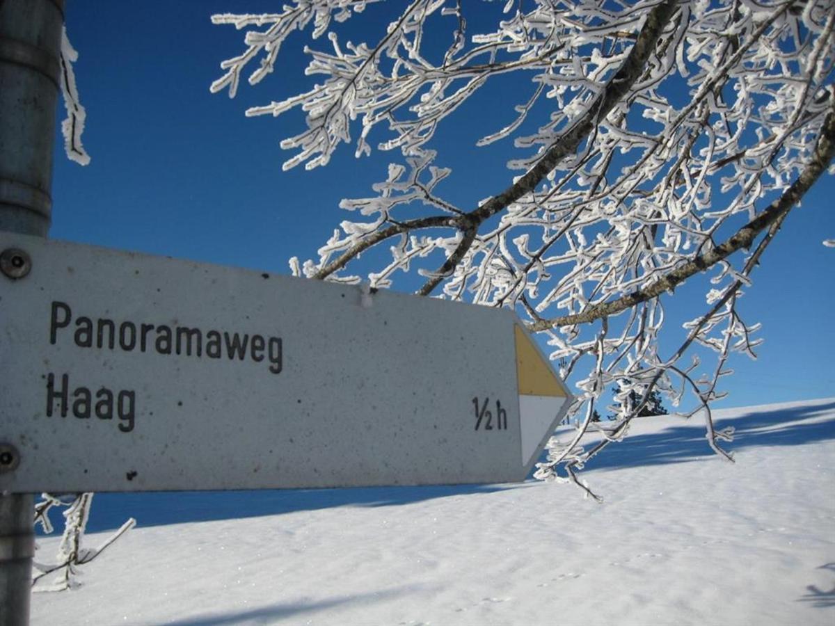 Haus Panorama Lejlighed Oy-Mittelberg Eksteriør billede